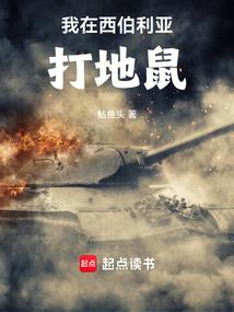 我的世界的故事