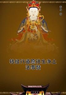 待嫁仙子择夫记