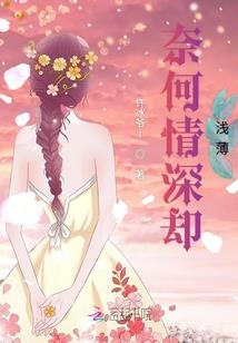 枫林天启