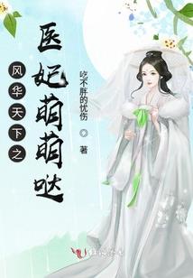 大盗归来