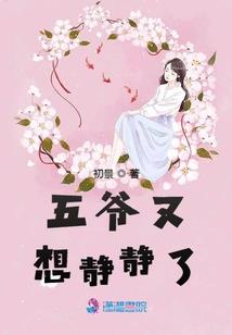 宠物小精灵之梦想飞舞