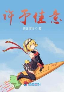总裁大人十七岁