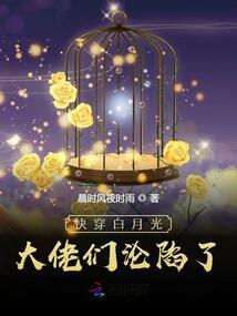 孤胆恋人心