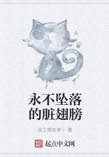 重回08：玩主的模拟人生