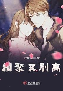 乱世君心