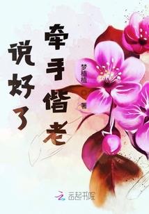 飞燕镖局