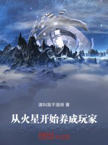 幻灵之记