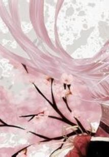 阴阳斗传