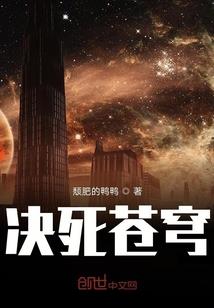 喆的奇妙火影冒险