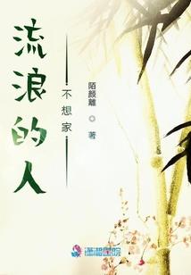 武道显风流