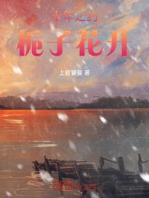 欺天藏世
