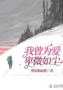 苍穹之九种兵器