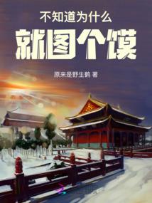 大梦一界
