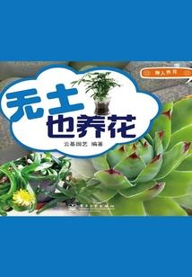 最后的尼安德特人