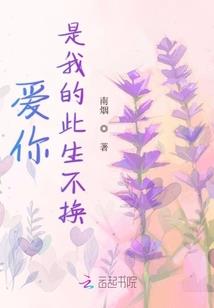 谜巢