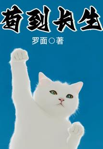 帝之叹