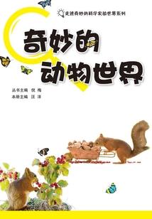 三百六十五天的爱