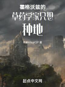 乞丐女的贵族战争：夺爱