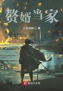 夜幕无痕