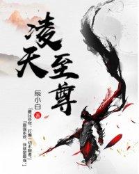 三界石之九阳真武帝