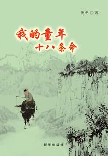 小丑的蜘蛛网
