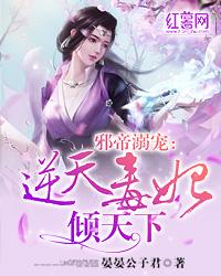 网仙主宰