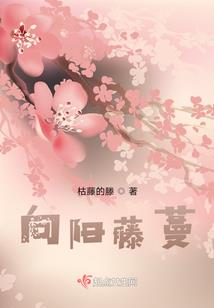 五光十色之白