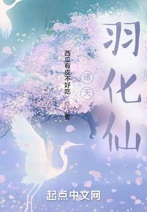 假面骑士之Evolution