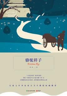 夜的天下