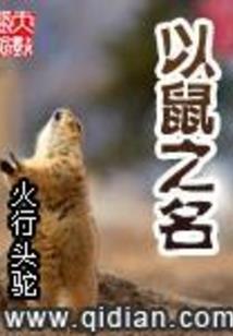 大西北浮沉
