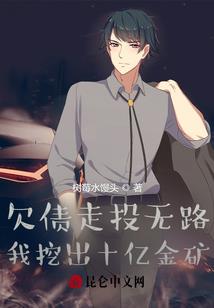 九十九天偶像日记