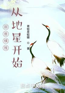 大话龙女篇
