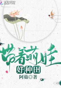仙路百战