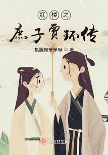 神奇宝贝之小智双魂