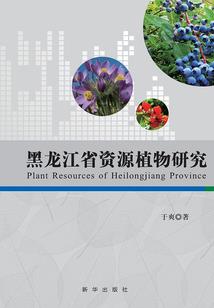 异界之九宫传说