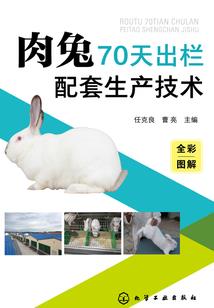 琉 璃 殇