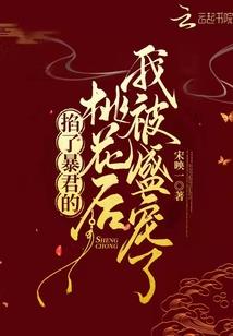 梦观计