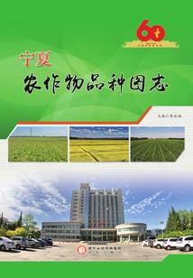 顶级杀手穿越斗罗