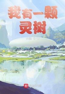 圣灵仙穹