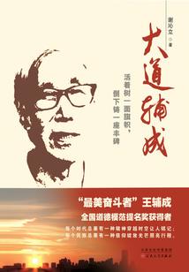 我的律师前妻