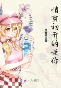 minecraft史蒂夫篇