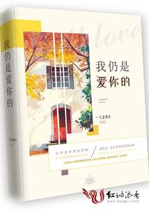 异常项目