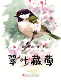 火影之军火来袭