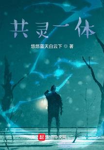 纯琴