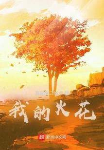 玄铁之心