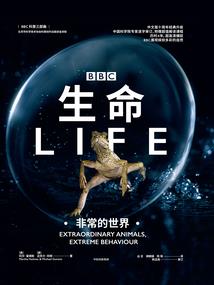 云中空独火