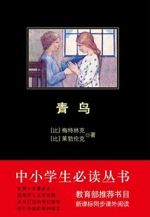 与黄毛一起行动