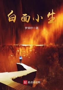 韶华倾负之我的酷王爷