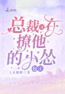 精灵之遗迹大师