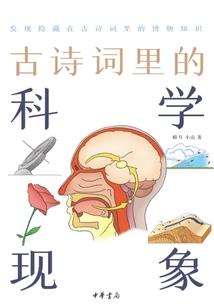江湖不再
